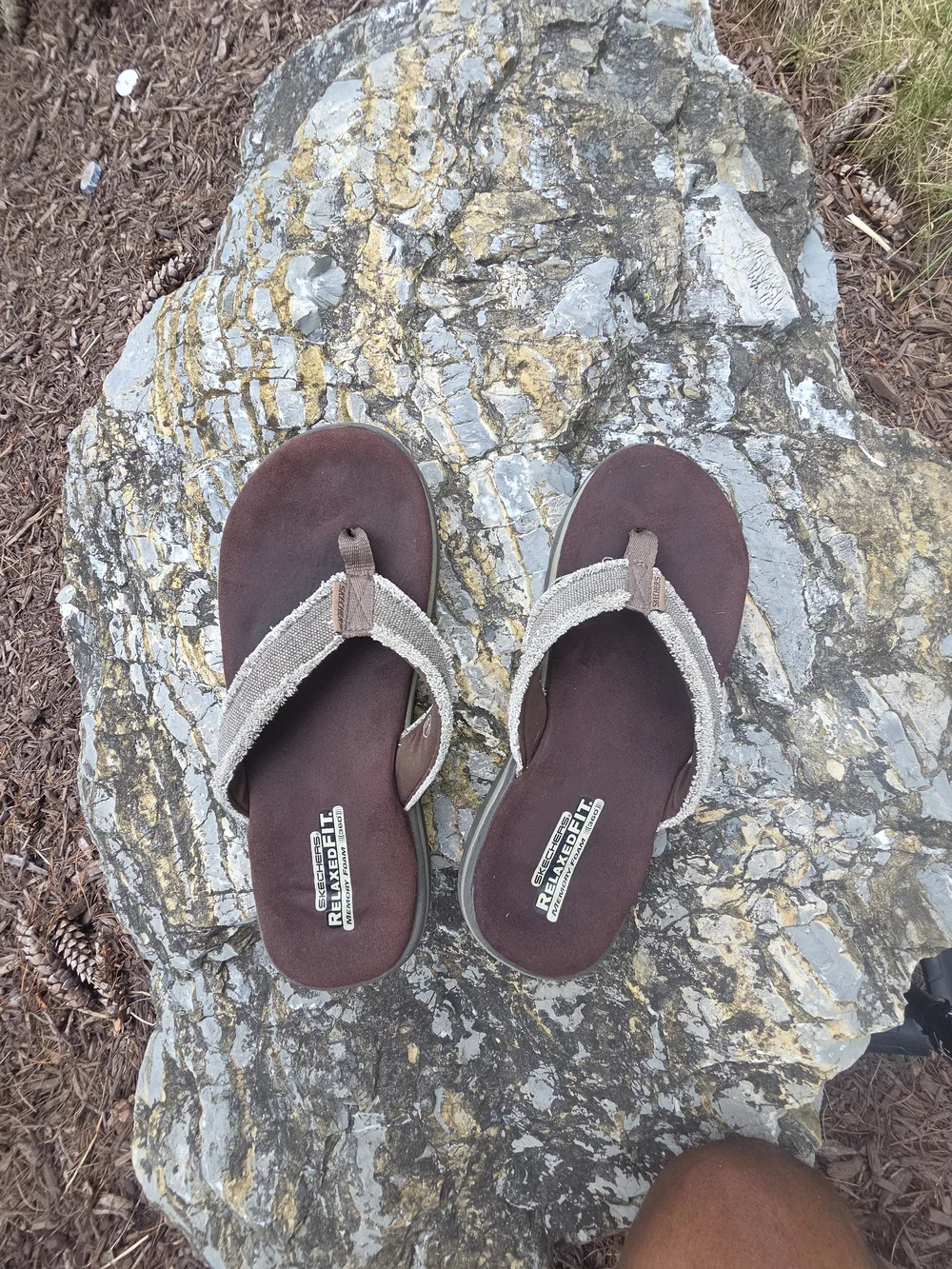 Skechers Kids Brown Flip-Flop Sandals with Cream Straps